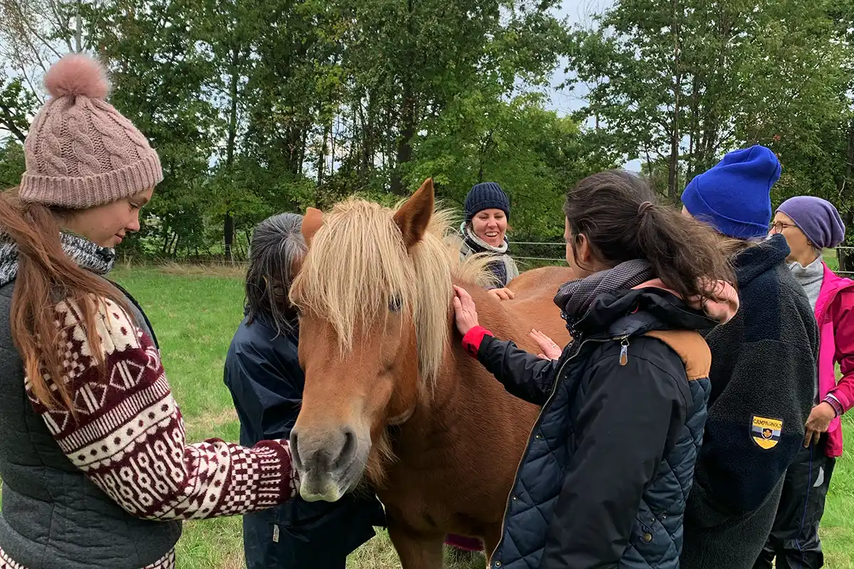 seminar-frauen-pferde-gruppe-mobil Eine Gruppe Frauen streichelt und berührt ein braunes Pferd mit heller Mähne auf einer grünen Wiese, während sie gemeinsam im Freien stehen.