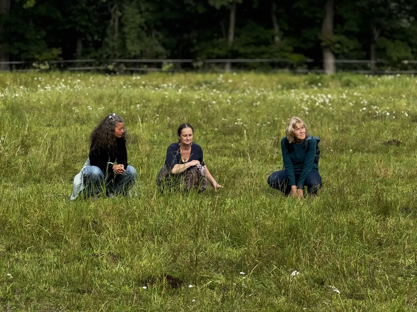 Drei Frauen sitzen in einer weiten Wiese im Gras.