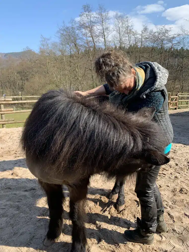 Alma beugt sich über ein dunkles Pony und legt ihm die Hände auf den Rücken.